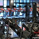 # 헬스타짐 이미지