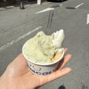 P-5322 | [전남 목포 젤라또 맛집] "웜콜드" 내돈내산 후기
