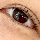 해피뷰티 속눈썹 이미지