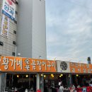황가네꼼장어 이미지