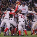 마이애미오렌지 이미지