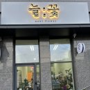 평택 용이동 꽃집 꽃배달 늘꽃 용죽점 24시간 무인픽업 아레오카리아 반려식물