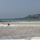 신기3길R | [제주] 웅이네 칼국수/우무/제주당/랜딩관 제주신화월드 호텔 앤 리조트/제주기장횟집/산방산 식당/호텔...