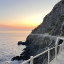 비아이태리 이미지