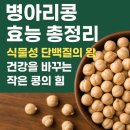 🌱 병아리콩 효능 총정리 – 식물성 단백질의 왕, 건강을 바꾸는 작은 콩의 힘