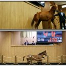 두화목장 이미지