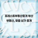 서면청담부동산중개 | 포레스트부동산중개 부산 부동산, 맞춤 상가 중개