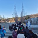 2025 대구국제마라톤대회 참가 후기