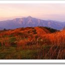 서광목장 이미지