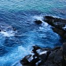 새천년도로 이미지