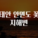 꽃지 이미지