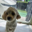 세븐일레븐 한강광나루2호점 이미지