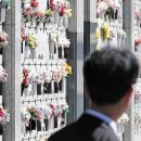 無빈소장·2일장·자유장 확산… 10명 중 7명이 "긍정적" 이미지