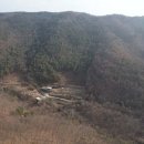 경북 의성군 국유림 내 72,300평 산림경영 임야 이미지
