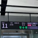모이세커피김밥 | 겨울에 떠난 제주여행