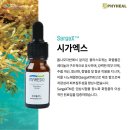 파이힐(주) 이미지