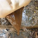 덕진-124 이미지