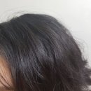 타스헤어 네이버블로그