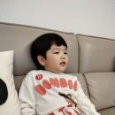 산새소리반 정해성 플라잉영어 이미지