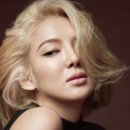 헤어무드 이미지