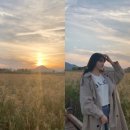 순천만습지 이미지