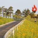 해누리공원 네이버블로그