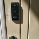 일진뜨리에 이미지