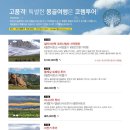 코렘투어