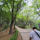 단대게이트볼장 이미지