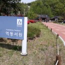 서원치킨 - 횡성군 서원로 144-2 | 서원치킨