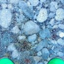 정선다온펜션 이미지