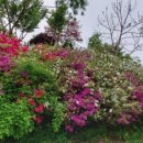 정각사입구 이미지