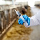 함양동물병원 이미지