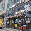 프라임캐틀