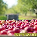 천안실버타운 이미지