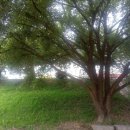 유엔아이공인중개사사무소 이미지