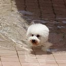 한별유치원 이미지