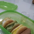 현대오에라 이미지