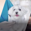 (주)오션레저 이미지