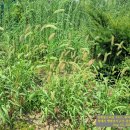 강변테니스장 화장실 이미지