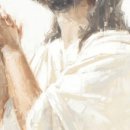 히브리서 12장 주석, 2026년 7월 11일, Commentary on Hebrews 12