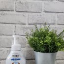 아이블씨 | 유아 손세정제 아이블리네이처 사용후기