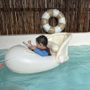 스테이 신사리 이미지