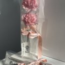 트레져드레옹
