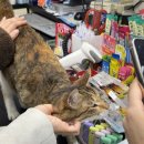 세븐일레븐 경주터미널점 이미지