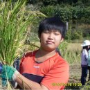 추억농장 이미지