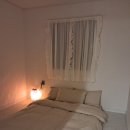 스테이오로지 이미지