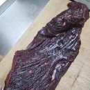 생고기바로 이미지