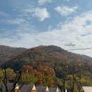 글램핑장 입구 | [서울/서초구] 청계산입구역 글램핑장 ‘서초바글’ 추천후기