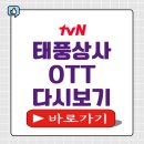 모아상사 | 드라마 ‘태풍상사’ OTT 다시보기 몇부작 편성정보 재방송 더쿠 모아보기